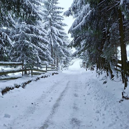 Villa Mokki Mărişel Esterno foto