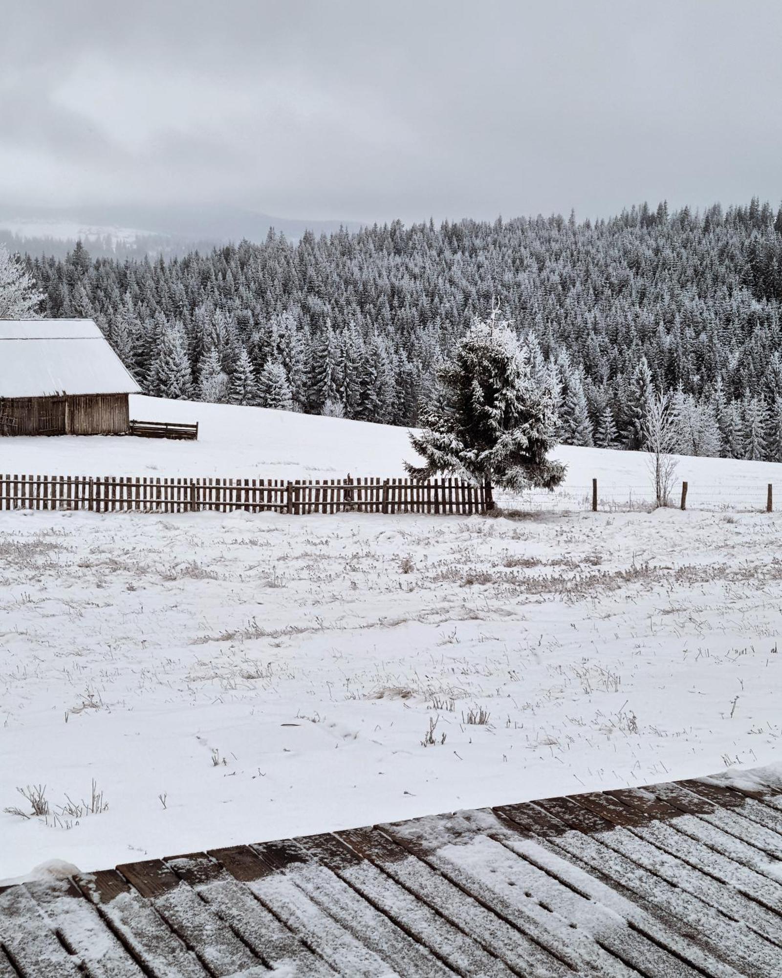 Villa Mokki Mărişel Esterno foto